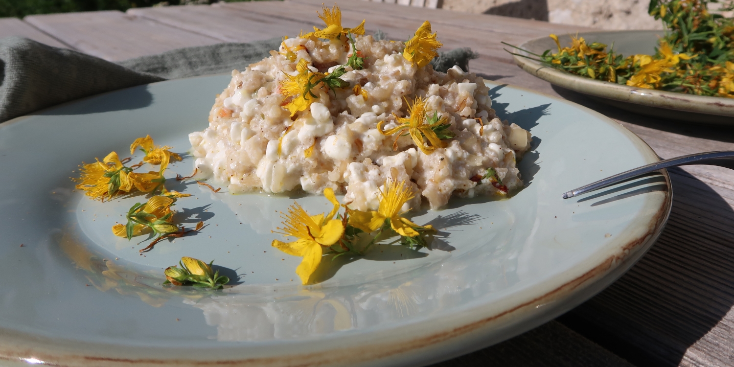 Eine Portion Risotto mit gelben Johanniskraut-Blüten auf hellgraugrünem Steingutteller mit einer Gabel auf einem verwitterten Holztisch. Im Hintergrund rechts ein Teller mit weiteren Johanniskraut-Blüten, links eine graue Stoffservitte