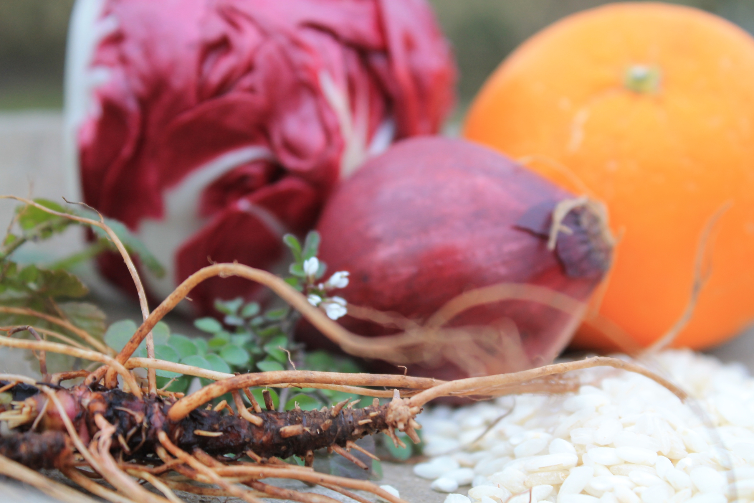 Nelkenwurz, Schaumkraut, Risottoreis, Zwiebel, Radicchio und Orange